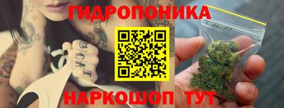 СК Краснодар