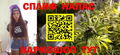 СК Краснодар